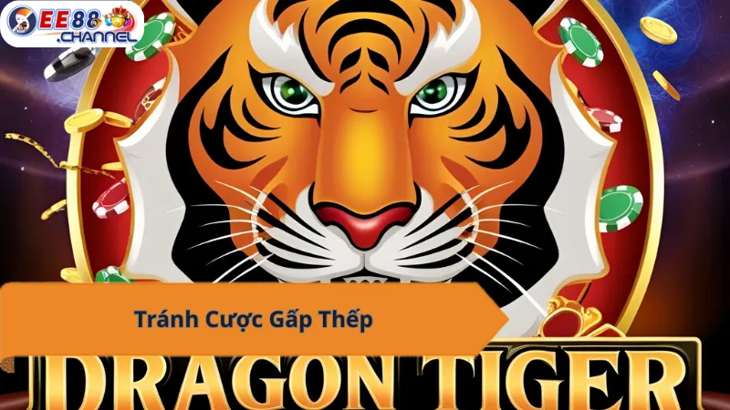Tránh Cược Gấp Thếp EE88