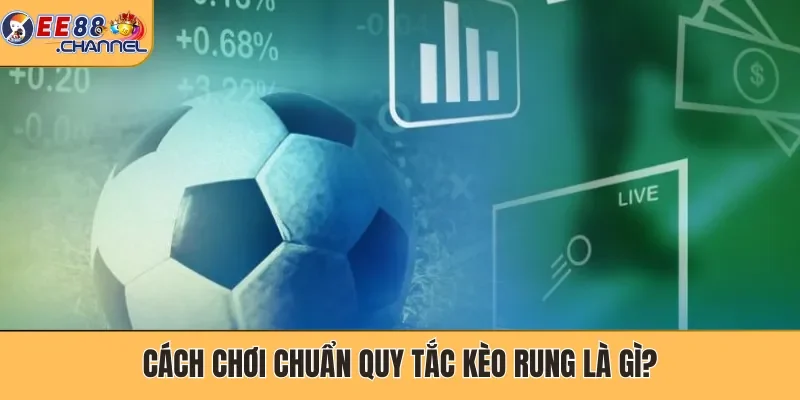 Cách chơi chuẩn quy tắc kèo rung là gì?