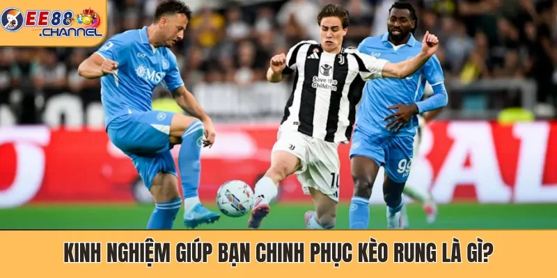 Kinh nghiệm giúp bạn chinh phục kèo rung là gì?